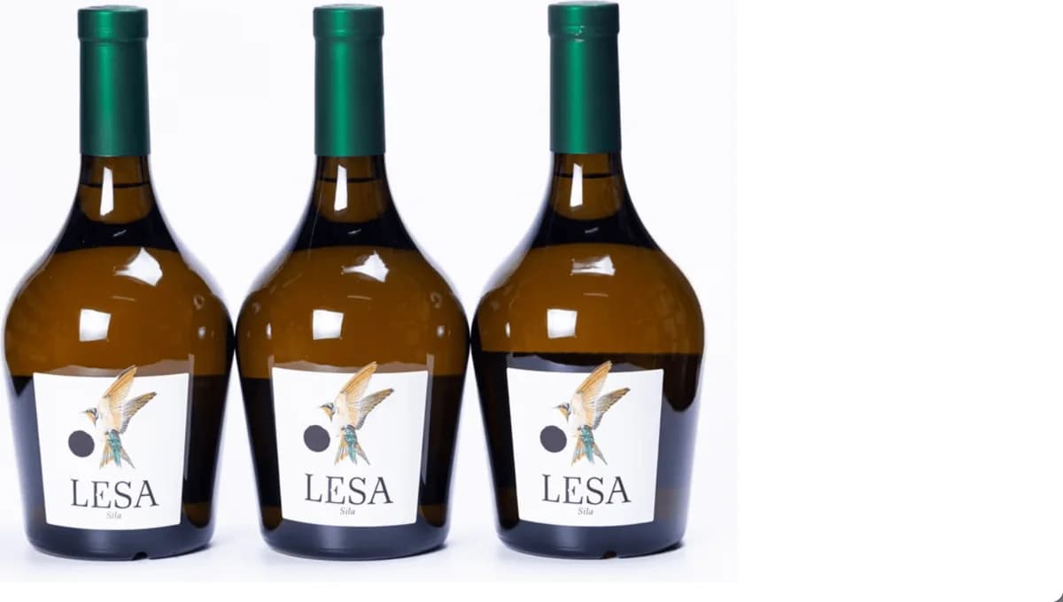 Lesa 0.75l – Sila 2+1 free