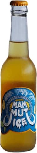 Mammut Ice 0.33l