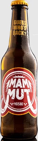 Mammut Mosaic 0.33l