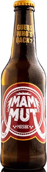 Mammut Mosaic 0.33l